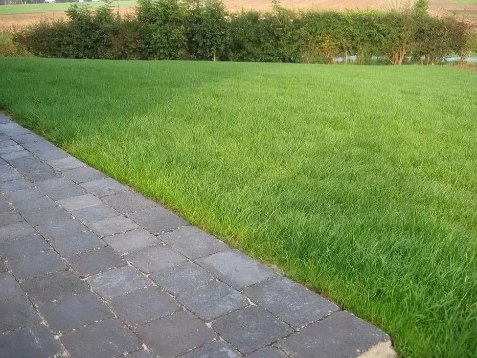 Espace extérieur avec pelouse verdoyante parfaitement entretenue bordant un chemin pavé