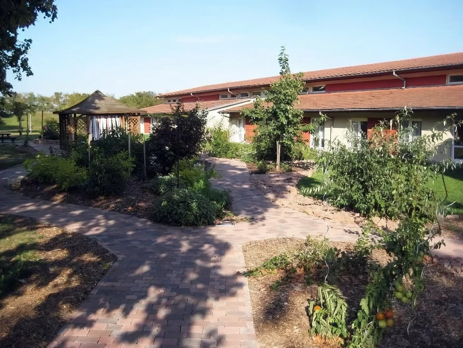 Jardin résidentiel avec allée pavée en briques traversant un espace paysager aménagé