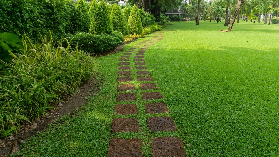 Pelouse verte dans le jardin avec motif aléatoire de chaussée pavée en béton, plante de fleurs, arbustes, arbres sur l'arrière-cour et devant avec de bons soins aménagés dans un parc public