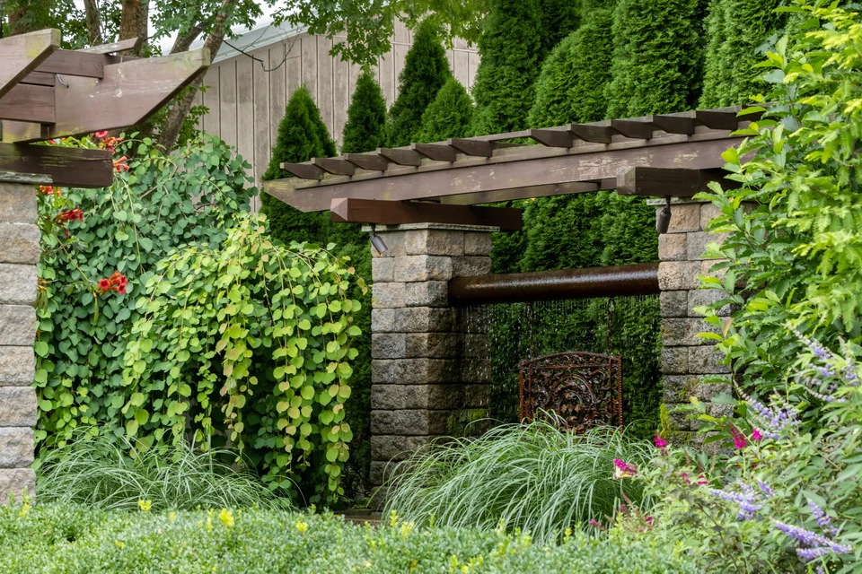 Jardin extérieur composé d'une collection dense de plantes succulentes et grasses disposées en arrangement paysager