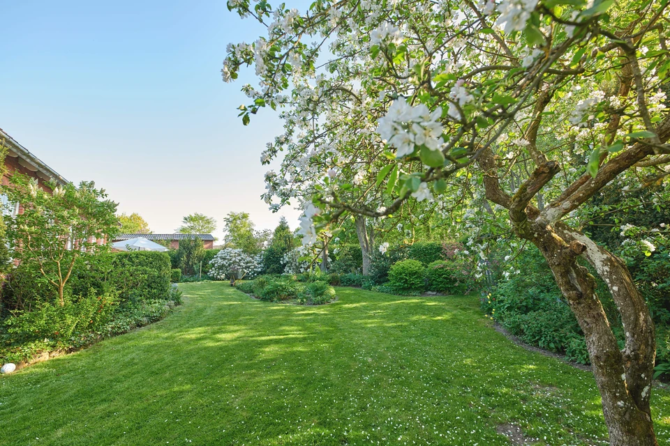 Main d'architecte paysagiste dessinant un plan d'aménagement extérieur coloré avec crayon bleu