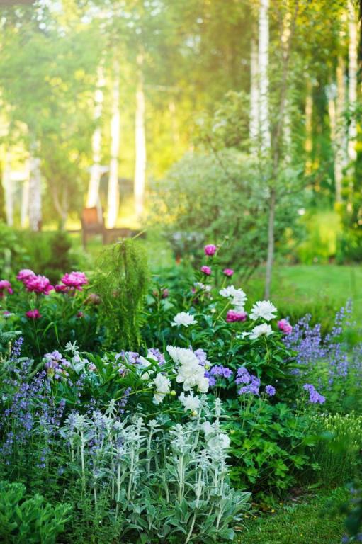 Créer un jardin naturel à Cernay : nos conseils d'expert
